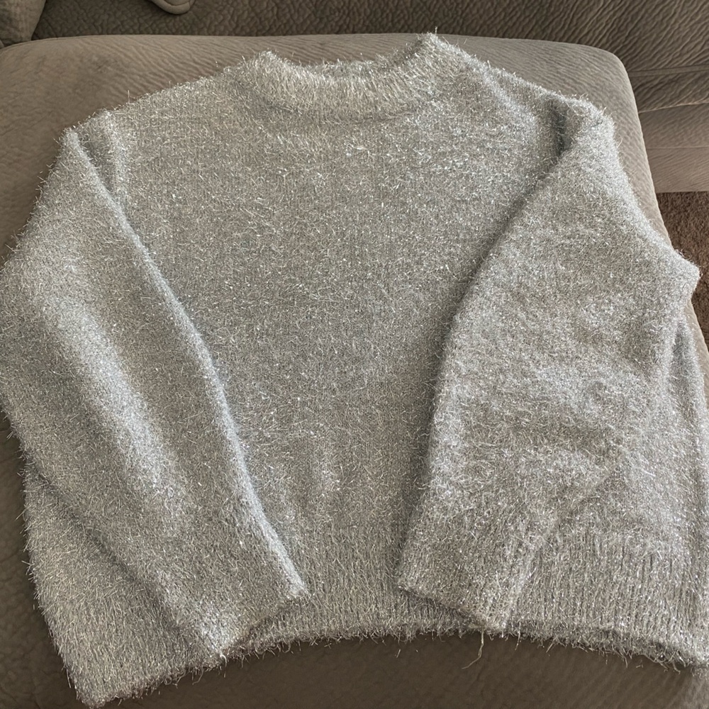 Glitter H&M sweater